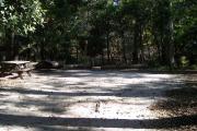 A Hardwood Hammock with scattered palmettoâs and grasses surrounds this open campsite.  This campsite overlooks a small beautiful spring called Sue Sink.  Site is mostly shaded with water/electric on right of site along with fire ring, picnic table and cloths line posts.  Site has downward slope.