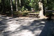 A Hardwood Hammock with scattered palmettoâs and grasses surrounds this open campsite.  This campsite overlooks a small beautiful spring called Sue Sink.  Site is mostly shaded with water/electric on right of site along with fire ring, picnic table and cloths line posts.  Site has downward slope.