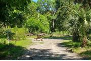 A Hardwood Hammock with scattered palmettoâs and grasses surrounds the campsite marker.