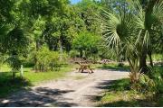 A Hardwood Hammock with scattered palmettoâs and grasses surrounds the campsite.  Site has a narrow opening but widens nicely for privacy at the back of site.