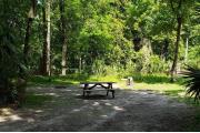A Hardwood Hammock with scattered palmettoâs and grasses surrounds the campsite marker.