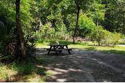 A Hardwood Hammock with scattered palmettoâs and grasses surrounds the campsite.