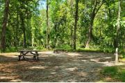 A Hardwood Hammock with scattered palmettoâs and grasses surrounds the campsite.  Here campers sit outside there fifth wheel and enjoy a pleasant conversation in the quiet hammock.  This site has an upward slope and is mostly shaded, water/electric on right of site, along with fire ring, picnic table and cloths line posts.