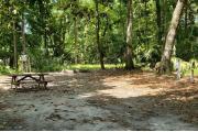 A Hardwood Hammock with scattered palmettoâs and grasses surrounds the campsite marker.