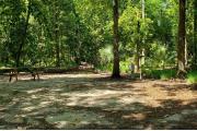 A Hardwood Hammock with scattered palmettoâs and grasses surrounds the campsite marker.