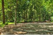 A Hardwood Hammock with scattered palmettoâs and grasses surrounds the campsite.  Site is mostly shaded and mostly level, water/electric on right of site along with stand up grill, fire ring, picnic table and cloths line posts. Has a paved side walk in front of site leading up to restroom facility. This is an ADA accessible site