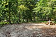 A Hardwood Hammock with scattered palmettoâs and grasses surrounds the campsite.