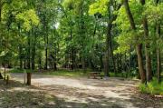 A Hardwood Hammock with scattered palmettoâs and grasses surrounds the campsite marker.