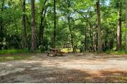 A Hardwood Hammock with scattered palmettoâs and grasses surrounds the campsite. This large pull through site overlooks Catfish Sink Hotel a spring just for diving covered in Duck Weed one of the smallest aquatic plants.  This site has a downward slope towards the sink and is mostly shaded.  Site has water/electric on left side and has a fire ring, picnic table and cloths line posts.  Right beside the site is a pathway that leads you to the picnic and spring area