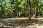 A Hardwood Hammock with scattered palmettoâs and grasses surrounds the campsite. This large pull through site overlooks Catfish Sink Hotel a spring just for diving covered in Duck Weed one of the smallest aquatic plants.  This site has a downward slope towards the sink and is mostly shaded.  Site has water/electric on left side and has a fire ring, picnic table and cloths line posts.  Right beside the site is a pathway that leads you to the picnic and spring area.