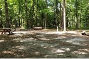 A Hardwood Hammock with scattered palmettoâs and grasses surrounds the campsite marker.