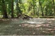 A Hardwood Hammock with scattered palmettoâs and grasses surrounds the campsite.  Here a guy sits next to his tent reading a book and enjoying the piece and quiet.  This site is level has water/electric on right side of site and has a fire ring, picnic table and cloths line posts.