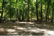 A Hardwood Hammock with scattered palmettoâs and grasses surrounds the campsite marker.