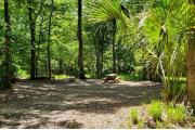 A Hardwood Hammock with scattered palmettoâs and grasses surrounds the campsite.  Here a pull behind camper is just getting set up for the weekend on the last site in the loop.  This site is mostly shaded with water/electric on the right side of the site.  Site is partially unlevel and has a fire ring, picnic table and cloths line posts.