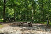A Hardwood Hammock with scattered palmettoâs and grasses surrounds the campsite marker.