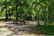 A Hardwood Hammock with scattered palmettoâs and grasses surrounds the campsite. Site is mostly shaded with water/electric on right of site.  Site has downward slope along with fire ring, picnic table and cloths line posts.