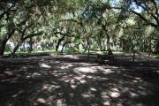 This is a picture of campsite 8 from the back of the site looking toward the road.   The site has water and 50amp electric service.  This is a partly sunny site with a gravel foundation.  The site has a picnic table and a ground campfire ring.