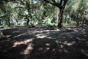This is a picture of campsite 9 from the back of the site looking toward the road.   The site has water and 50amp electric service.  This is a shady site with a gravel foundation.  The site has a picnic table and a ground campfire ring.