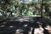 This is a picture of campsite 10 from the back of the site looking toward the road.   The site has water and 50amp electric service.  This is a partly sunny site with a gravel foundation.  The site has a picnic table and a ground campfire ring.