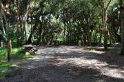 Campsite 11 is a partial sunny site with a gravel foundation located on the right hand side of the road.  Looking into the site on the right is the water and 50amp electrical service. There is a picnic table and ground campfire ring.  At the front left side of the site is the brown site marker.