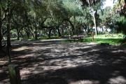 This is a picture of campsite 11 from the back of the site looking toward the road.   The site has water and 50amp electric service.  This is a partly sunny site with a gravel foundation.  The site has a picnic table and a ground campfire ring.