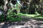 This is a picture of campsite 13 looking from the road into the sunny site.  This site has 50amp service and water hookups.  There is a gravel foundation with a picnic table and a ground campfire ring.
