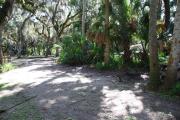 This is a picture of campsite 15 from the back of the site looking toward the road.   The site has water and 50amp electric service.  This is a partly sunny site with a gravel foundation.  The site has a picnic table and a ground campfire ring.