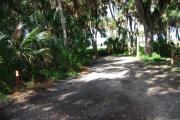 This is a picture of campsite 15 looking from the road into the partly sunny site.  This site has 50amp service and water hookups.  There is a gravel foundation with a picnic table and a ground campfire ring.
