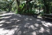 This is a picture of campsite 16 from the back of the site looking toward the road.   The site has water and 50amp electric service.  This is a partly sunny site with a gravel foundation.  The site has a picnic table and a ground campfire ring.