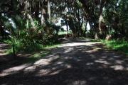 This is a picture of campsite 16 looking from the road into the partly sunny site.  This site has 50amp service and water hookups.  There is a gravel foundation with a picnic table and a ground campfire ring.