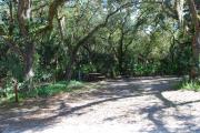 Campsite 30 is a partial sunny site with a gravel foundation located on the right hand side of the road.  Looking into the site on the right is the water and 50amp electrical service. There is a picnic table and ground campfire ring.  At the front left side of the site is the brown site marker.