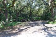 This is a picture of campsite 30 looking from the road into the partly sunny site.  This site has 50amp service and water hookups.  There is a gravel foundation with a picnic table and a ground campfire ring.