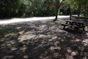 This is a picture of campsite 41 from the back of the site looking toward the road.   The site has water and 50amp electric service.  This is a partly sunny site with a gravel foundation.  The site has a picnic table and a ground campfire ring.
