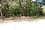 This is a picture of campsite 41 looking from the road into the partly sunny site.  This site has 50amp service and water hookups.  There is a gravel foundation with a picnic table and a ground campfire ring.