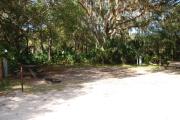 Campsite 47 is a partial sunny site with a gravel foundation located on the right hand side of the road.  Looking into the site on the right is the water and 50amp electrical service. There is a picnic table and ground campfire ring.  At the front left side of the site is the brown site marker.