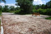 This is picture of campsite #53 from the back of the site looking toward the road.  Site has 50amp electric, water and sewage hook-ups.  This is a partial shady site with stone foundation and vegetation on sides.  There is a separate section to the side with the picnic table, cooking grill and ground campfire ring.