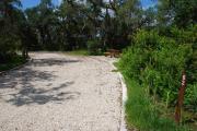 This picture of campsite #62 is looking from the road into the partial shady pull-through site.  This site has 50 amp electric, water and sewer hook-ups. There is a stone foundation with vegetation on the sides.  There is also a separate area to the side with a picnic table, cooking grill and ground campfire ring.