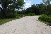 This is picture of campsite #64 from the back of the site looking toward the road.  Site has 50amp electric, water and sewage hook-ups.  This is a sunny pull-through site with stone foundation and vegetation on sides.  There is a separate section to the side with the picnic table, cooking grill and ground campfire ring.