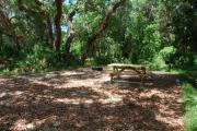 This is picture of campsite #77 from the back of the site looking toward the road.  Site has 50amp electric, water and sewage hook-ups.  This is a partial shady site with stone foundation and vegetation on sides.  There is a separate section to the side with the picnic table, cooking grill and ground campfire ring.