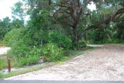 Campsite #78 is a partial shady site with stone foundation and vegetation on sides located on the right hand side of the road.  Looking into the site on the right are the water, 50 amp electric and sewage hook-ups.  To the left is a separate section containing a picnic table, cooking grill and ground campfire ring.  At the front left side of the site is the brown site marker.