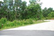 This picture of campsite #79 is looking from the road into the sunny site.  This site has 50 amp electric, water and sewer hook-ups. There is a stone foundation with vegetation on the sides.  There is also a separate area to the side with a picnic table, cooking grill and ground campfire ring.