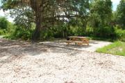 This is picture of campsite #81 from the back of the site looking toward the road.  Site has 50amp electric, water and sewage hook-ups.  This is a partial shady site with stone foundation and vegetation on sides.  There is a separate section to the side with the picnic table, cooking grill and ground campfire ring.