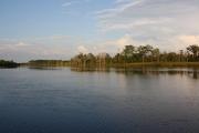 Nearly a quarter mile wide, the expansive lower reaches of the Ochlockonee River boasts of supporting many fresh and saltwater species of fish.