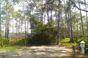 Sand live oak trees filter the morning sunlight from the east at Site 2. Amenities include water/electric, picnic table, campfire ring and clothes line.