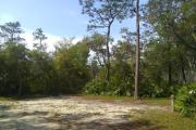 This site is spacious and surrounded by saw palmetto and oaks. Amenities include water/electric, picnic table, campfire ring and clothes line.