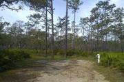This site sits on the edge of a Pine Flatwoods habitat, offering great birding and wildlife viewing.