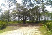 Under the shade provided by scrub oak trees, this spacious site is easy to access for mid-size RV units, plus allows for campers doing RV/tent camping or towing a boat.