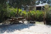 This mostly open, 25 foot wide pull-through, makes for great flexibility and an easy entrance and exit to your Ochlockonee River State Park camping experience.