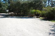 It is only a few feet from here to the path leading to the Ochlockonee River Nature Trail. Amenities include water/electric, picnic table, campfire ring and clothes line.