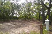 This site is completely surrounded by sand live oak trees and native shrubbery. At 43 foot in width, this site offers good access for small to mid-size RV units and campers with RVs and tents or towing a boat.